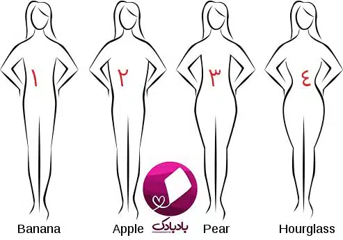 فرم های بدن زنانه
